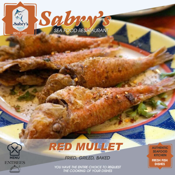 Red Mullet