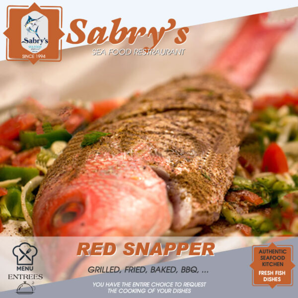 Red Snapper ( American)