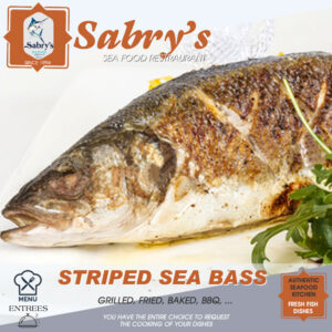 Striped Bass